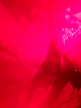 Snapshot of Lord-Sloppy chatting on December 7, 2024, 3:41 pm Lord-Sloppy online show from December 7, 2024, 3:41 pm