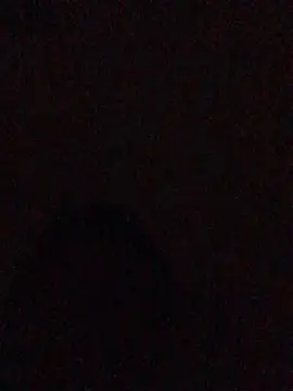 hoot07089 online show from December 13, 2024, 2:54 am