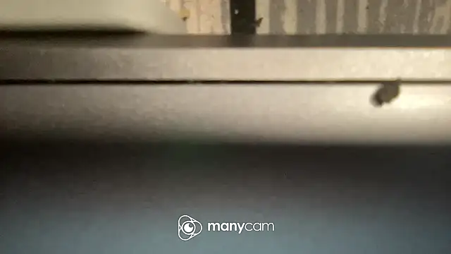 flexingplexico online show from February 1, 2025, 11:43 am