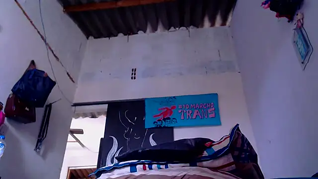 Zafiro subversiva online show from January 8, 2026, 2:41 pm