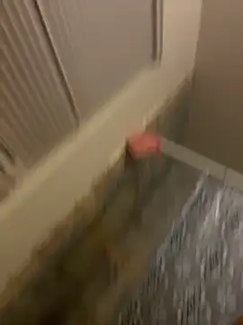 Snapshot of prettlovely14 chatting on February 20, 2026, 4:42 am prettlovely14 online show from February 20, 2026, 4:42 am