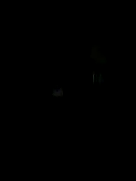 Snapshot of Off_the_Lesh chatting on October 15, 2025, 7:19 am Off the Lesh online show from October 15, 2025, 7:19 am