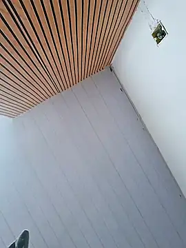 Asafadadosseussonhos21 online show from January 13, 2025, 9:31 pm