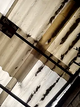 weedmanhot28 online show from November 2, 2025, 12:51 pm