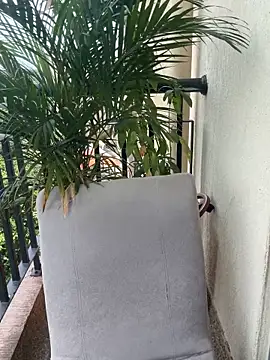 Pretty Isadora online show from March 4, 2026, 4:57 pm