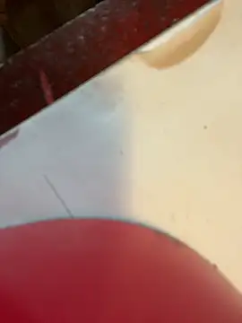 Snapshot of joeycbigcock chatting on January 2, 2025, 3:19 pm joeycbigcock online show from January 2, 2025, 3:19 pm