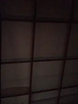 luna asss online show from February 1, 2025, 4:03 am