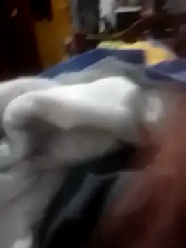 betinhodelas online show from February 3, 2026, 12:09 am