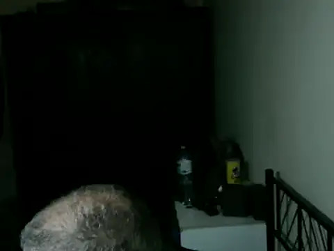 100Tauros online show from April 17, 2026, 11:46 am