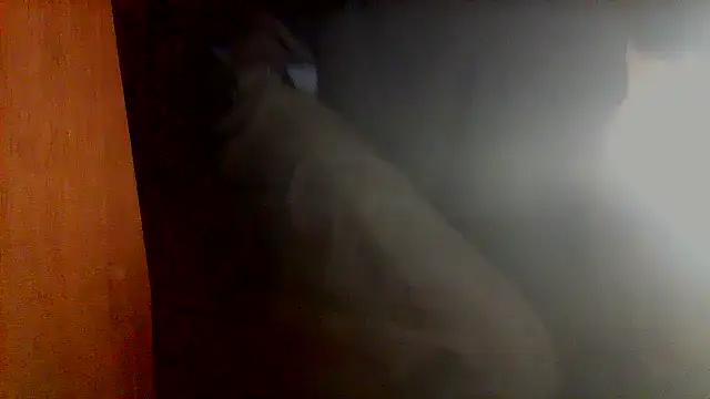 nice6incs online show from November 5, 2025, 11:05 pm