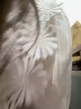 Efangfang online show from February 16, 2025, 8:43 am