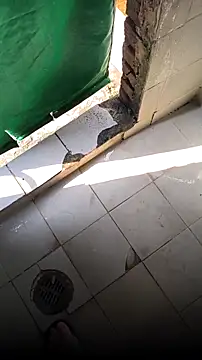 mendelicius online show from February 15, 2026, 2:25 pm