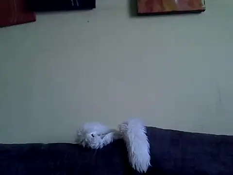 Delicious-D online show from February 10, 2026, 4:49 am