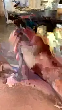 Snapshot of elber-gdo chatting on February 5, 2025, 10:55 pm elber-gdo online show from February 5, 2025, 10:55 pm