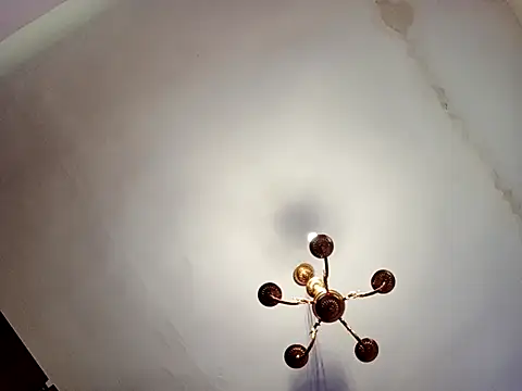 Snapshot of katymojadit chatting on March 13, 2025, 1:29 pm katymojadit online show from March 13, 2025, 1:29 pm