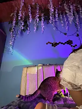 Lily candy X online show from March 3, 2026, 5:24 am