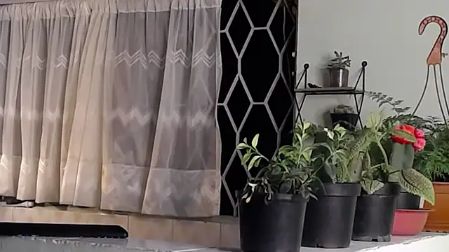 Snapshot of peyton_golden1 chatting on January 16, 2025, 6:35 am peyton golden1 online show from January 16, 2025, 6:35 am