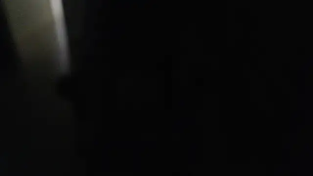 joeydee1 online show from December 7, 2024, 7:21 pm