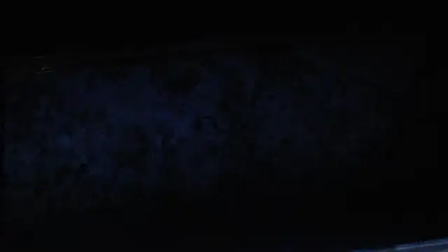 joeydee1 online show from February 17, 2025, 2:04 pm