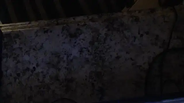 joeydee1 online show from February 19, 2025, 3:06 am