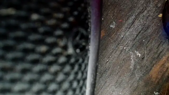 Gigadickman online show from December 2, 2024, 8:33 pm