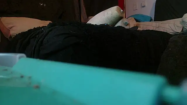 Gigadickman online show from January 15, 2025, 2:17 am