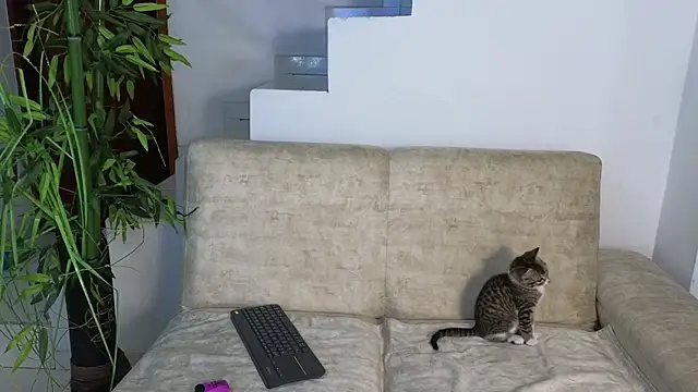 Lorenne Miller online show from October 20, 2025, 3:29 am