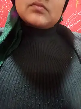 Snapshot of vadapavgirl chatting on December 17, 2024, 3:17 pm vadapavgirl online show from December 17, 2024, 3:17 pm