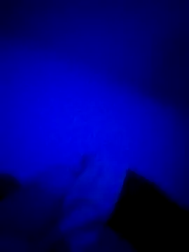 Snapshot of HELL_FIRE chatting on October 24, 2025, 6:10 am HELL FIRE online show from October 24, 2025, 6:10 am