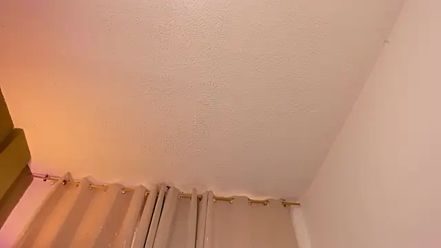 Zara dulce online show from February 24, 2026, 12:03 pm