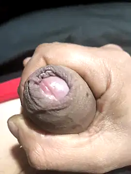 franko1987 online show from April 15, 2026, 4:52 am