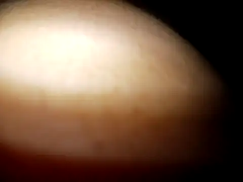 Cheny26 online show from April 8, 2026, 3:39 am