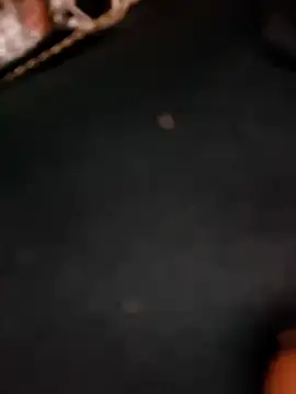 5g4ever online show from March 25, 2026, 10:54 am