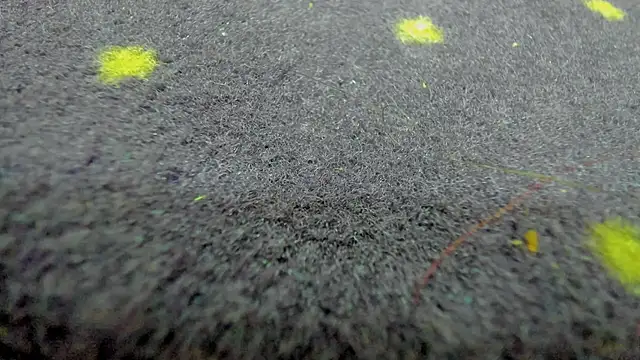 AishaRouhi online show from March 21, 2026, 8:19 am