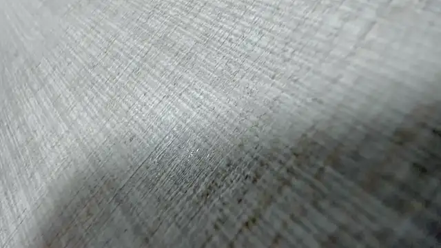 AishaRouhi online show from March 31, 2026, 4:13 am