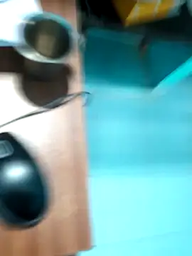 rajesh31tamil online show from January 4, 2025, 7:34 am