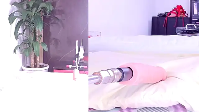 Sophia Lovers01 online show from March 2, 2026, 8:37 pm