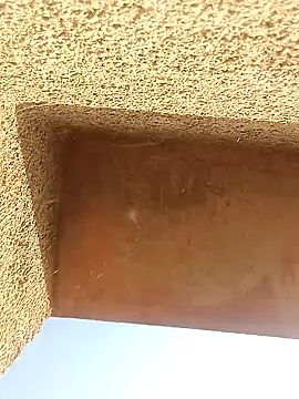 Sweet Dhara online show from January 10, 2025, 3:50 am