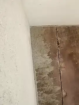 Sweet Dhara online show from January 13, 2025, 5:44 am