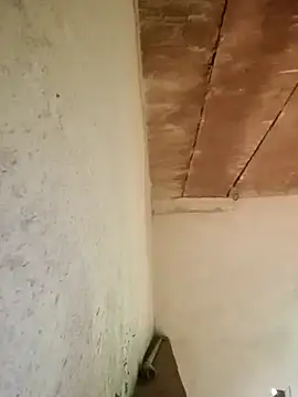 Sweet Dhara online show from January 16, 2025, 6:03 am