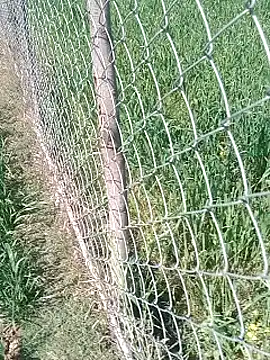 Sweet Dhara online show from February 12, 2025, 6:29 am