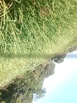 Sweet Dhara online show from February 15, 2025, 10:55 am