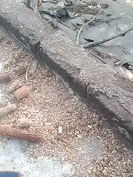 Sweet Dhara online show from February 16, 2025, 10:43 am