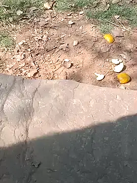 Sweet Dhara online show from February 20, 2025, 5:33 am