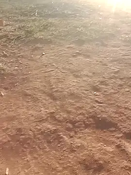 Sweet Dhara online show from March 6, 2025, 1:37 am