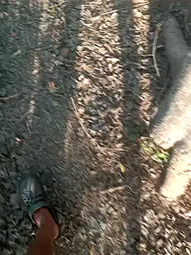 Sweet Dhara online show from March 7, 2025, 11:40 am