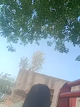 Sweet Dhara online show from March 16, 2025, 5:25 am