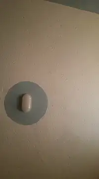 C-yoyo online show from February 26, 2025, 4:14 am