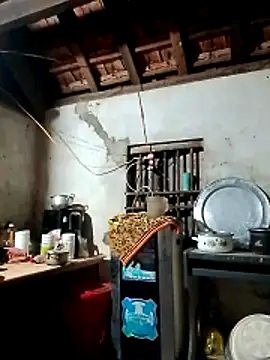 Hotpussy3ox online show from March 2, 2026, 10:16 pm