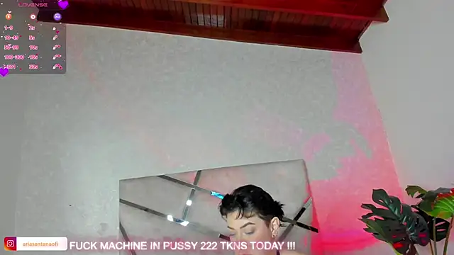 arisantana online show from September 20, 2025, 11:44 am